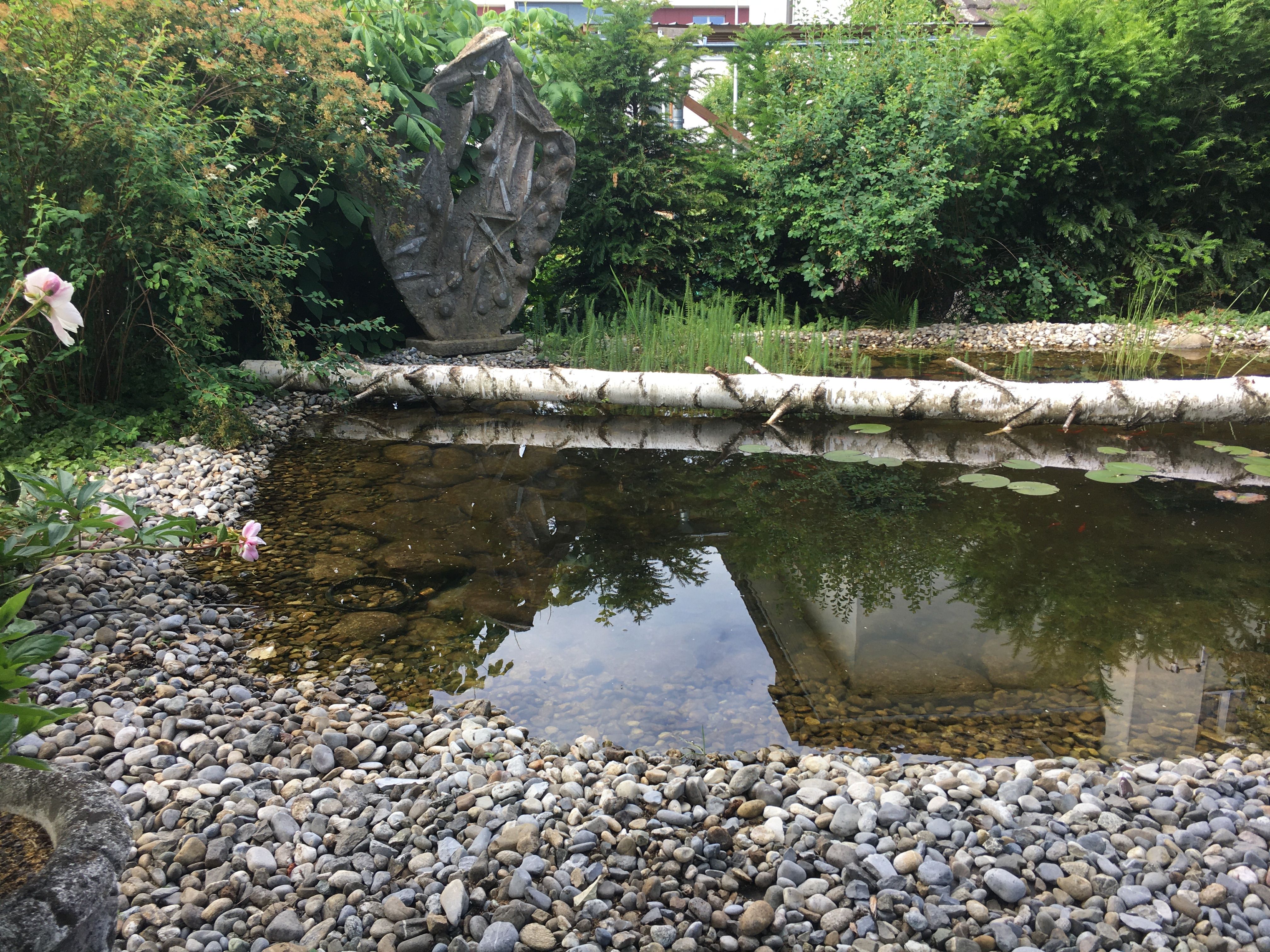 Laederach Gartenbau - Naturgarten mit Gartenteich - Gartenbau