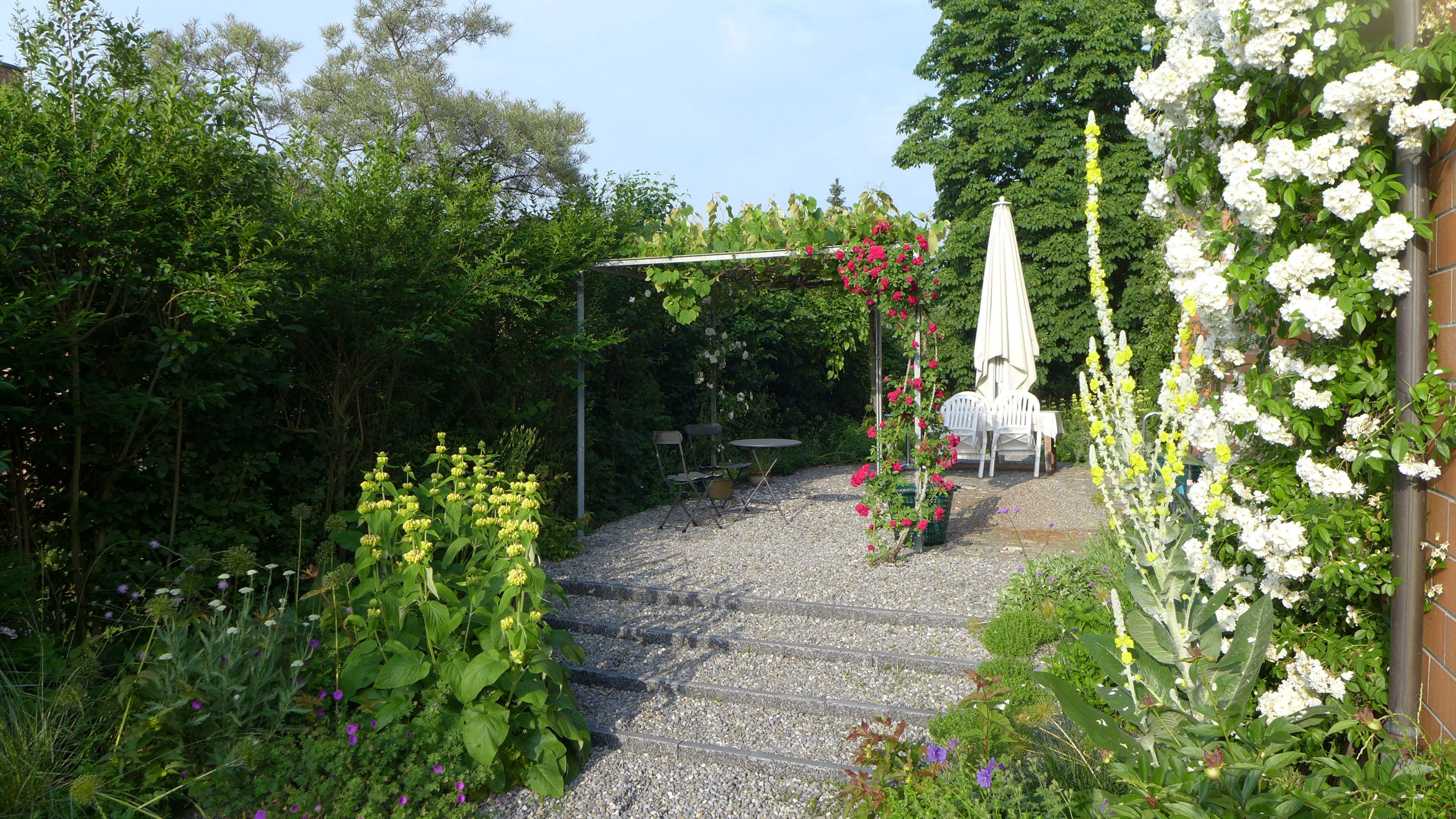 Laederach Gartenbau - Garten mit Rosenbogen - Gartenbau