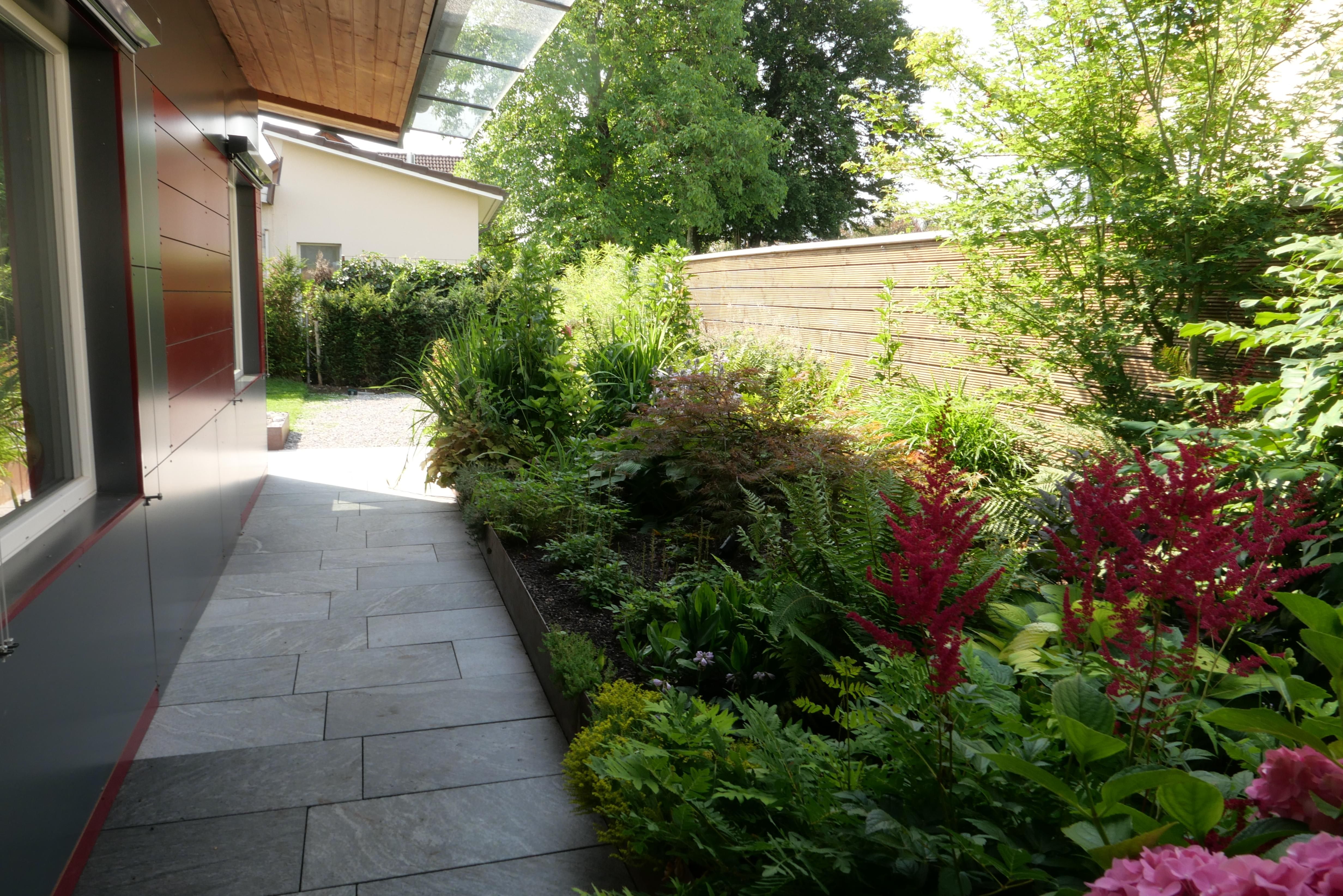 Laederach Gartenbau - Pflanzen fuer schattige Standorte - Gartenplanung