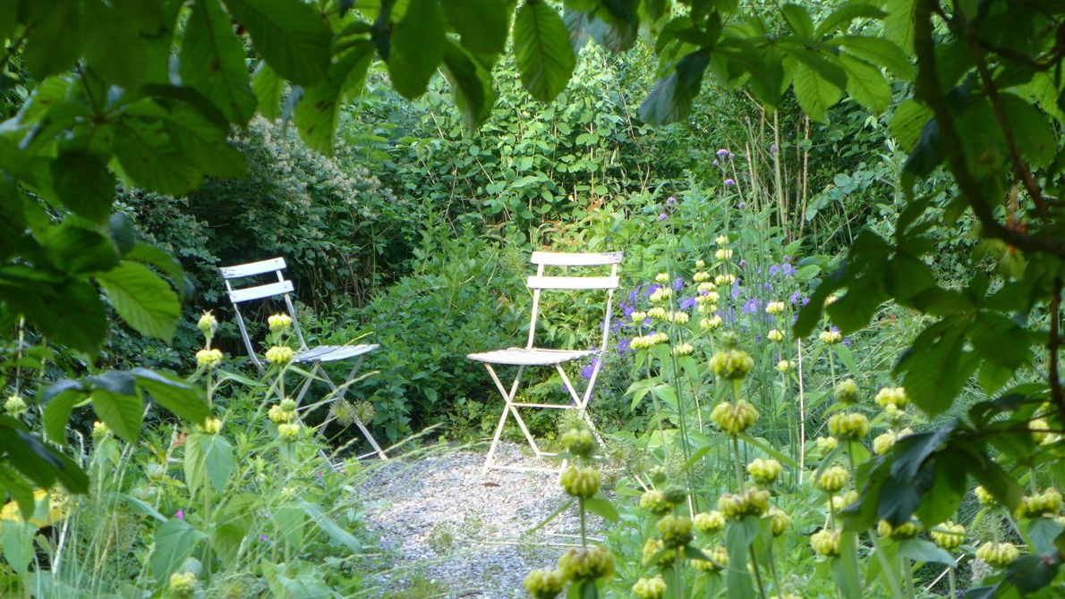 Laederach Gartenbau - lauschiger Gartensitzplatz -Gartenbau - Naturgarten