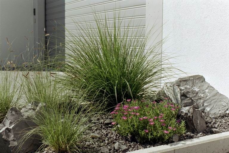 Laederach Gartenbau - Bepflanzung - Gartenpflege