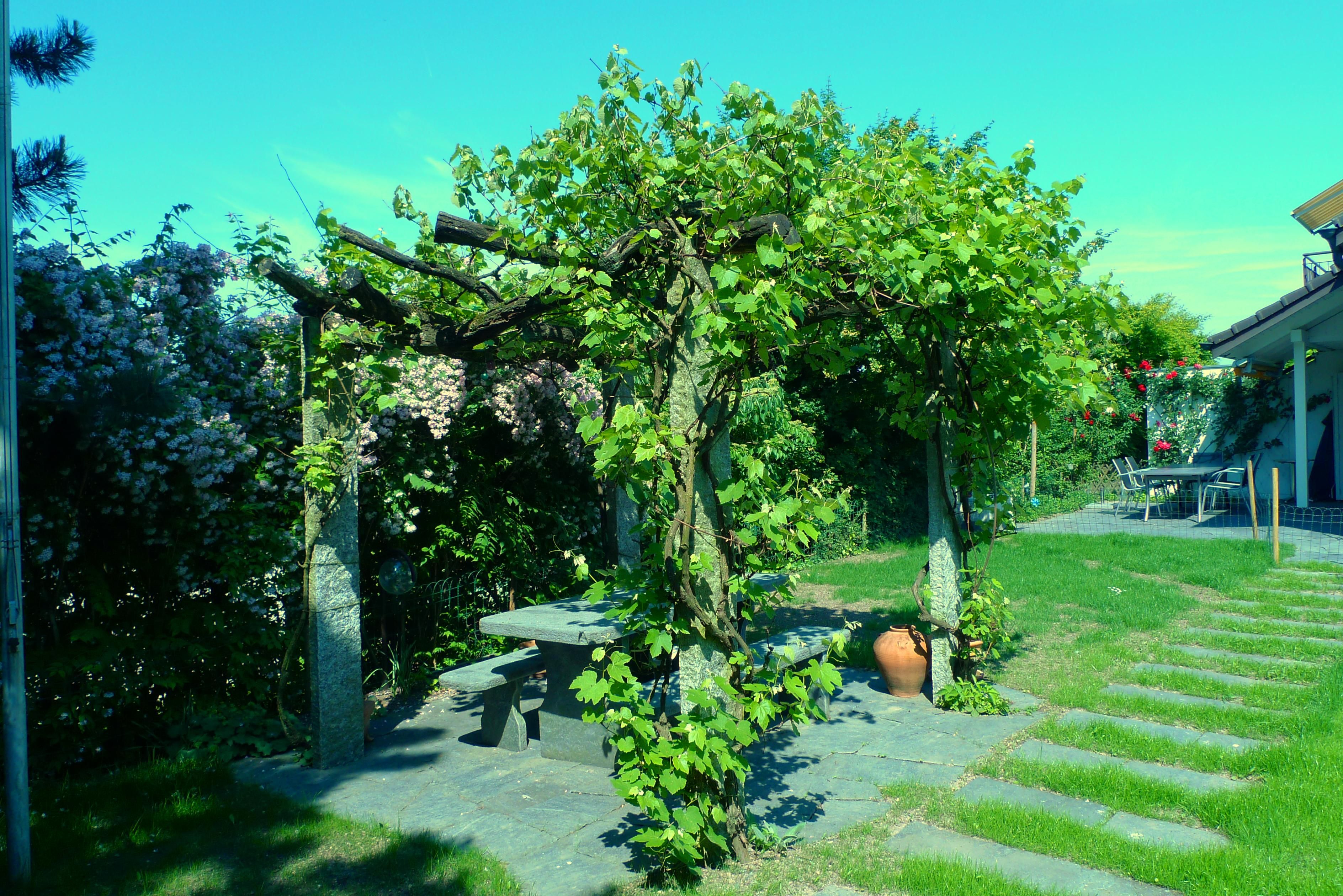 Laederach Gartenbau - Robinienholz für Pergola - Gartenbau