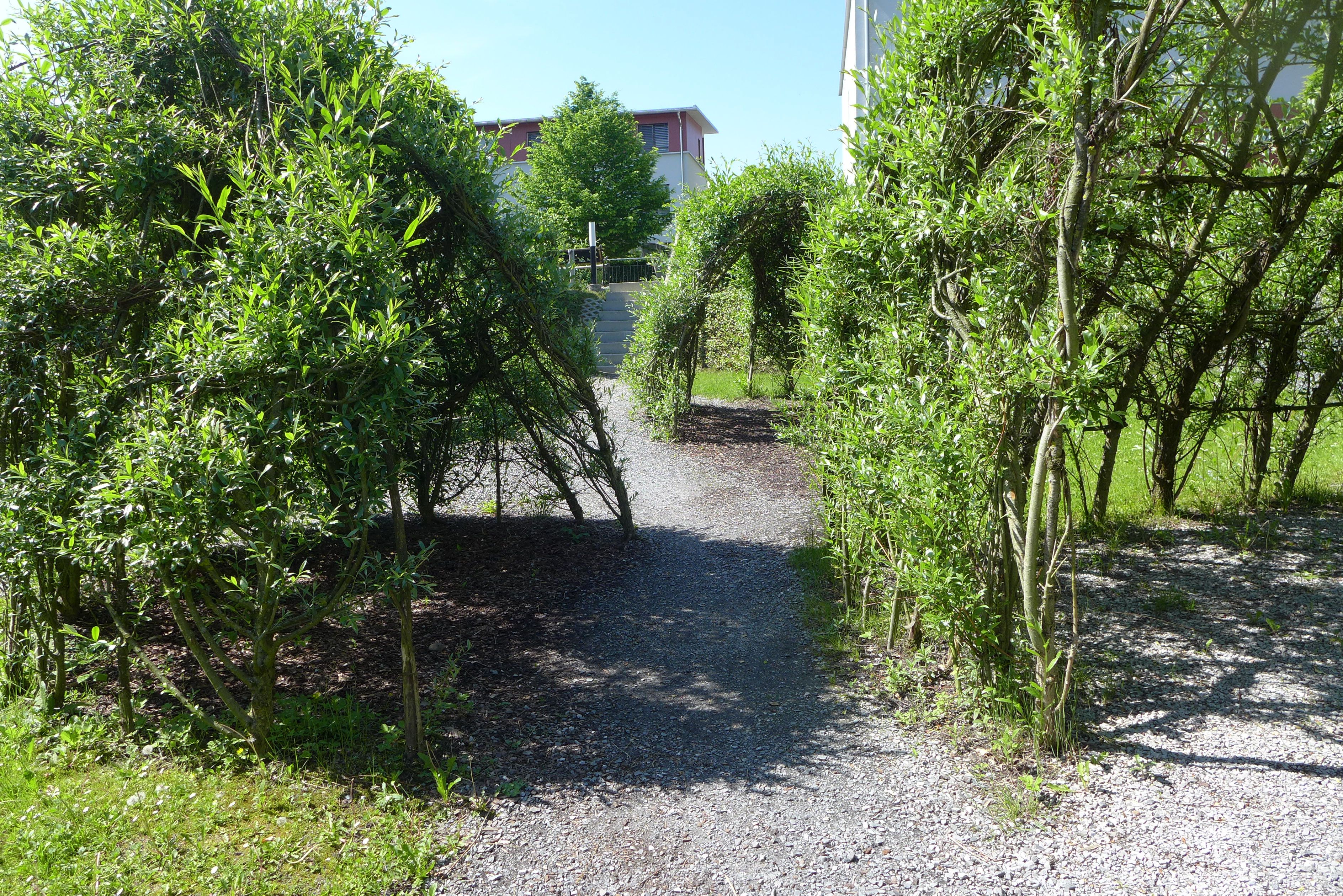 Laederach Gartenbau - Naturgarten mit Weidenpavillon - Gartenbau