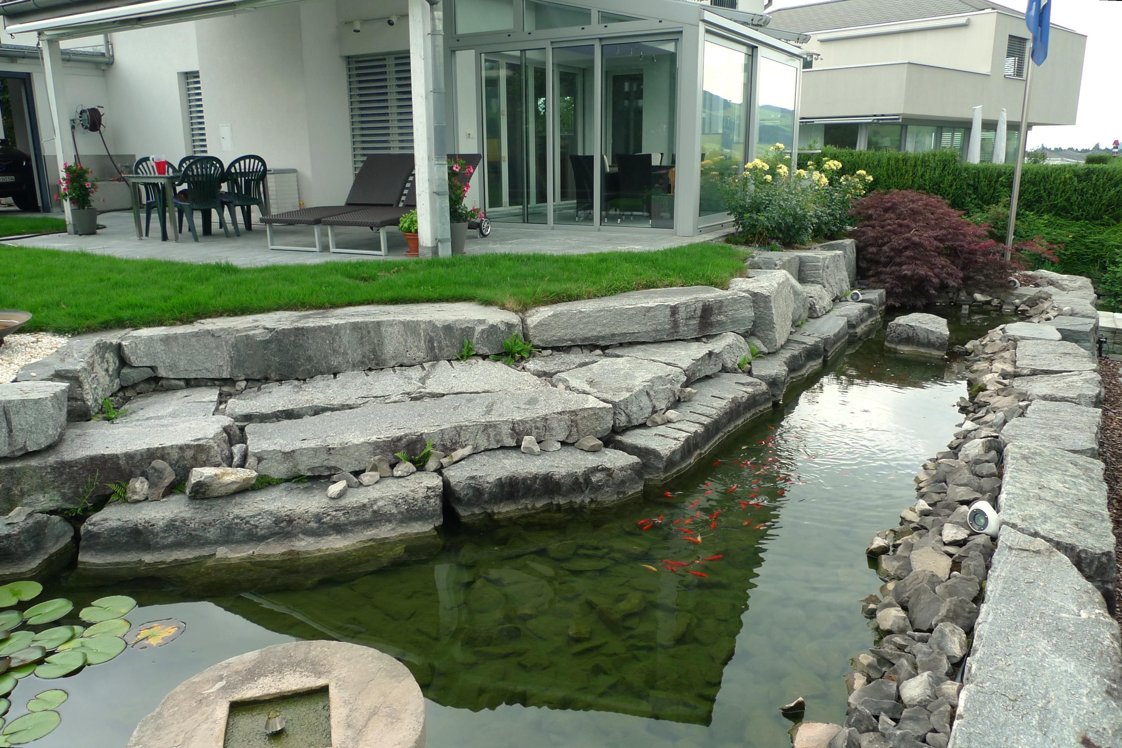 Laederach Gartenbau - Gartenteich - Gartenbau