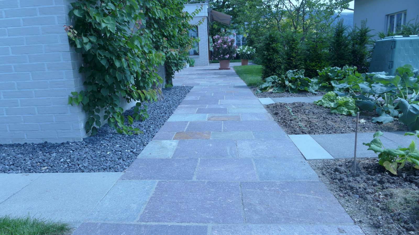 Laederach Gartenbau -  Gemuesegarten - Gartenplanung