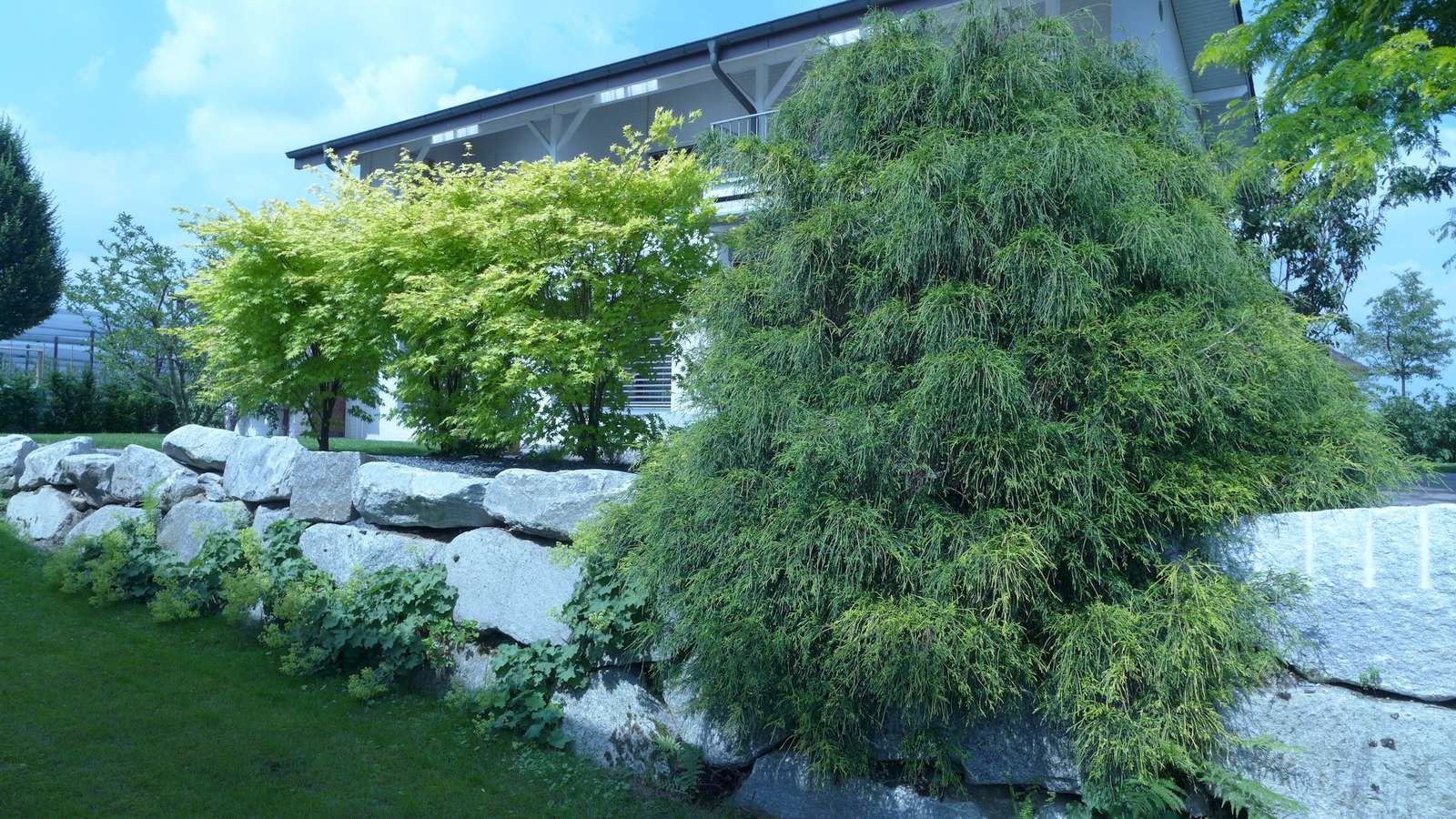 Laederach Gartenbau - Trockenmauer - Gartenbau