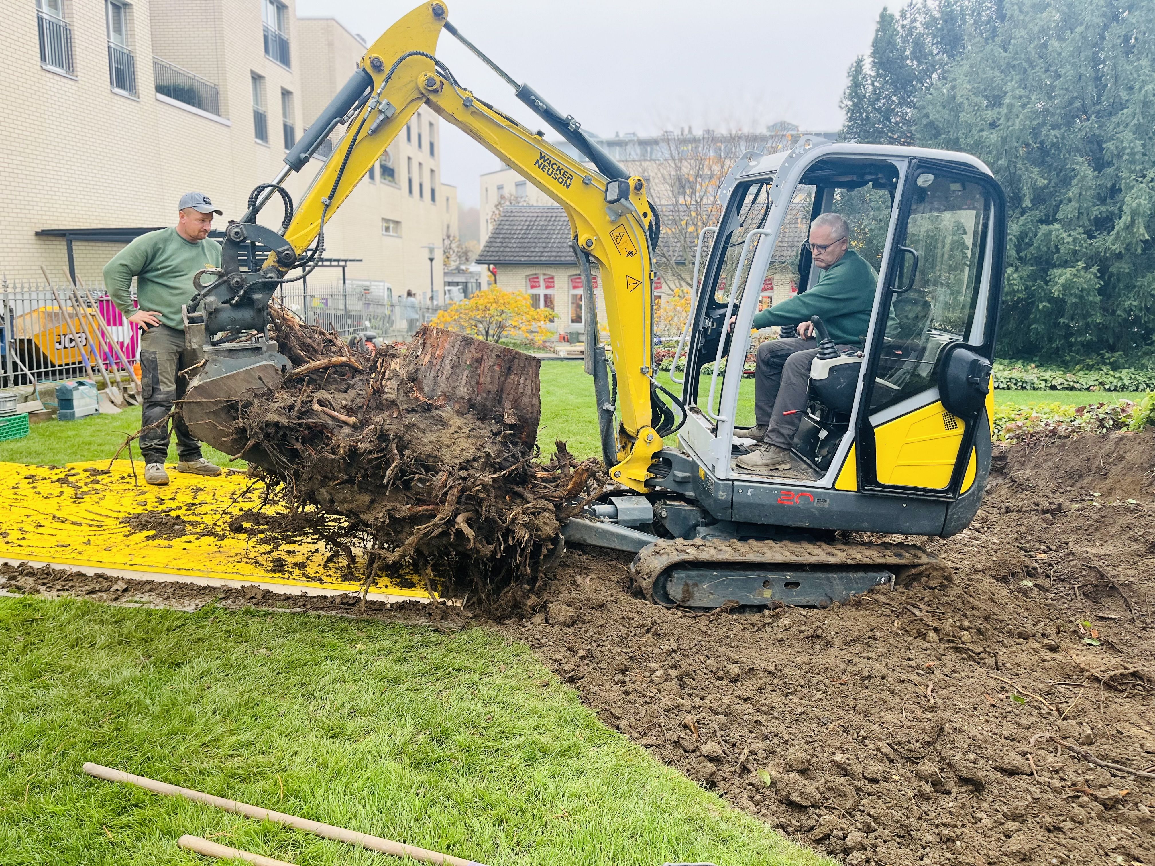 Laederach Gartenbau - Wurzelstock entfernen - Gartenbau