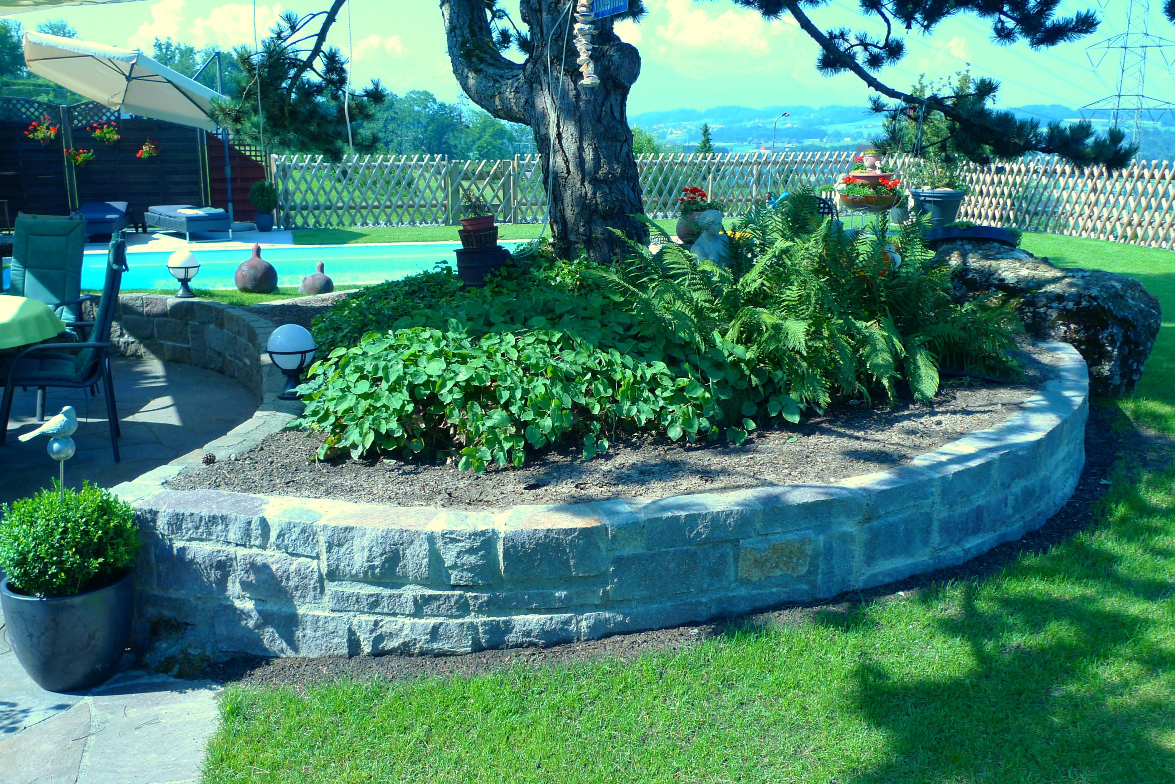 Laederach Gartenbau - Natursteinmauer mit Moertelfugen - Gartenbau