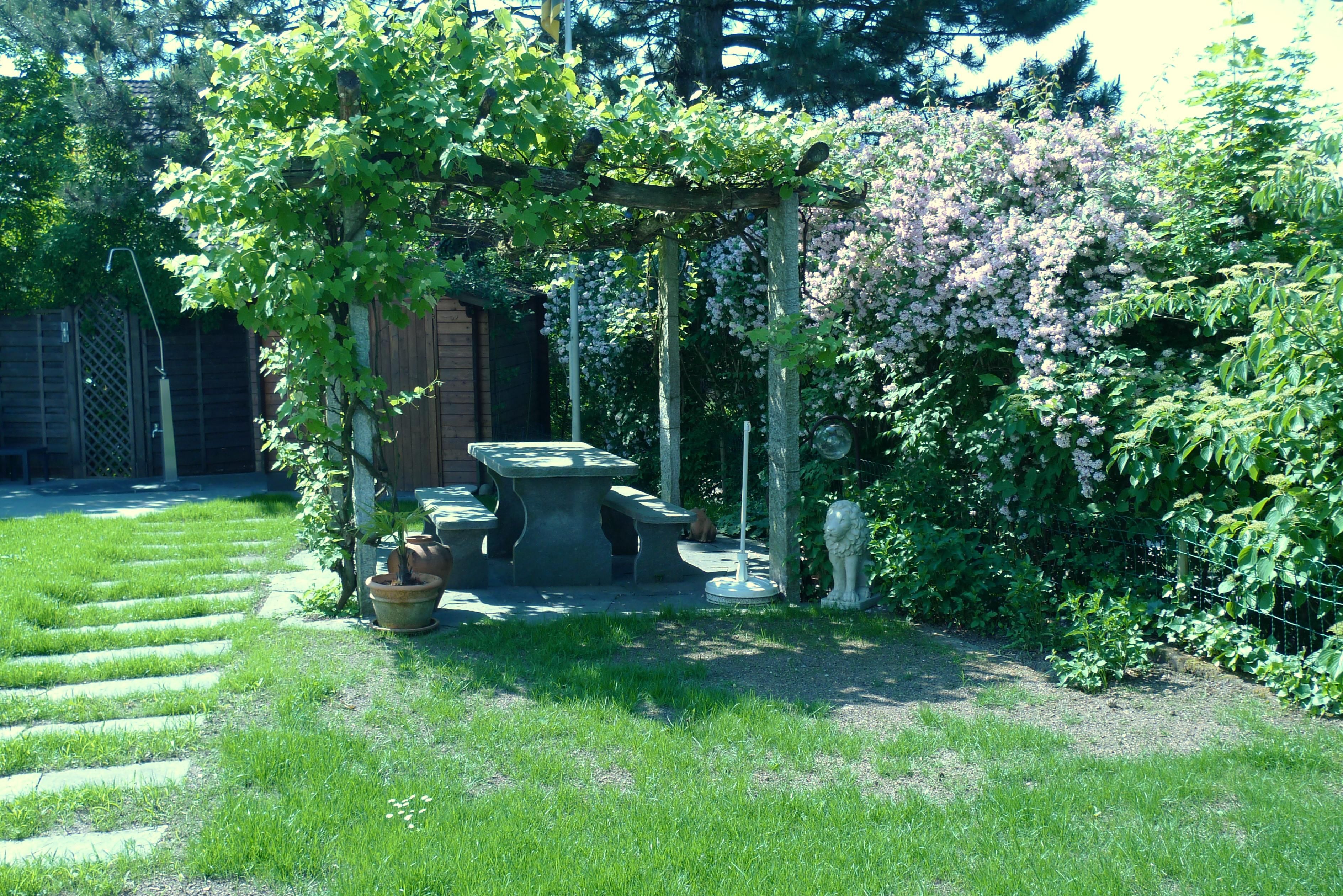 Laederach Gartenbau - Gartenpergola mit Tessinergneis - Gartenbau