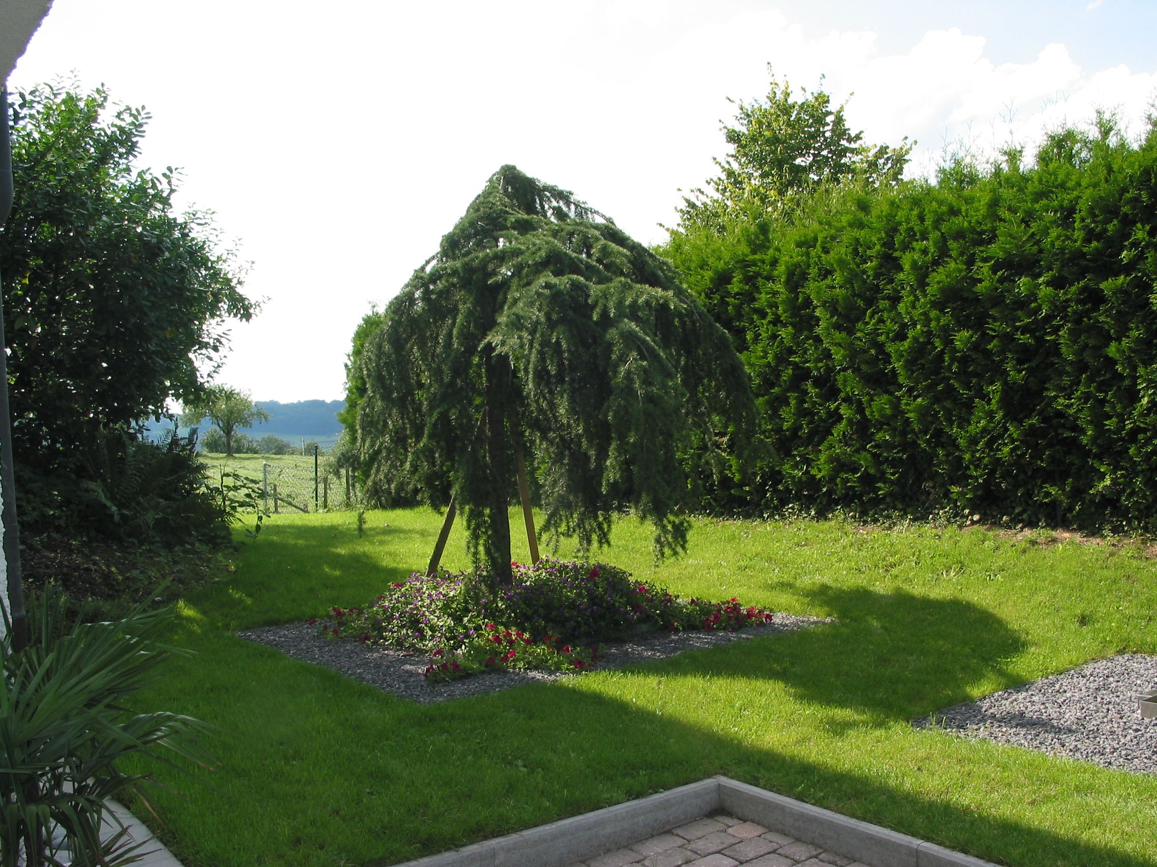 Laederach Gartenbau - Gartenpflege - Gartenbau