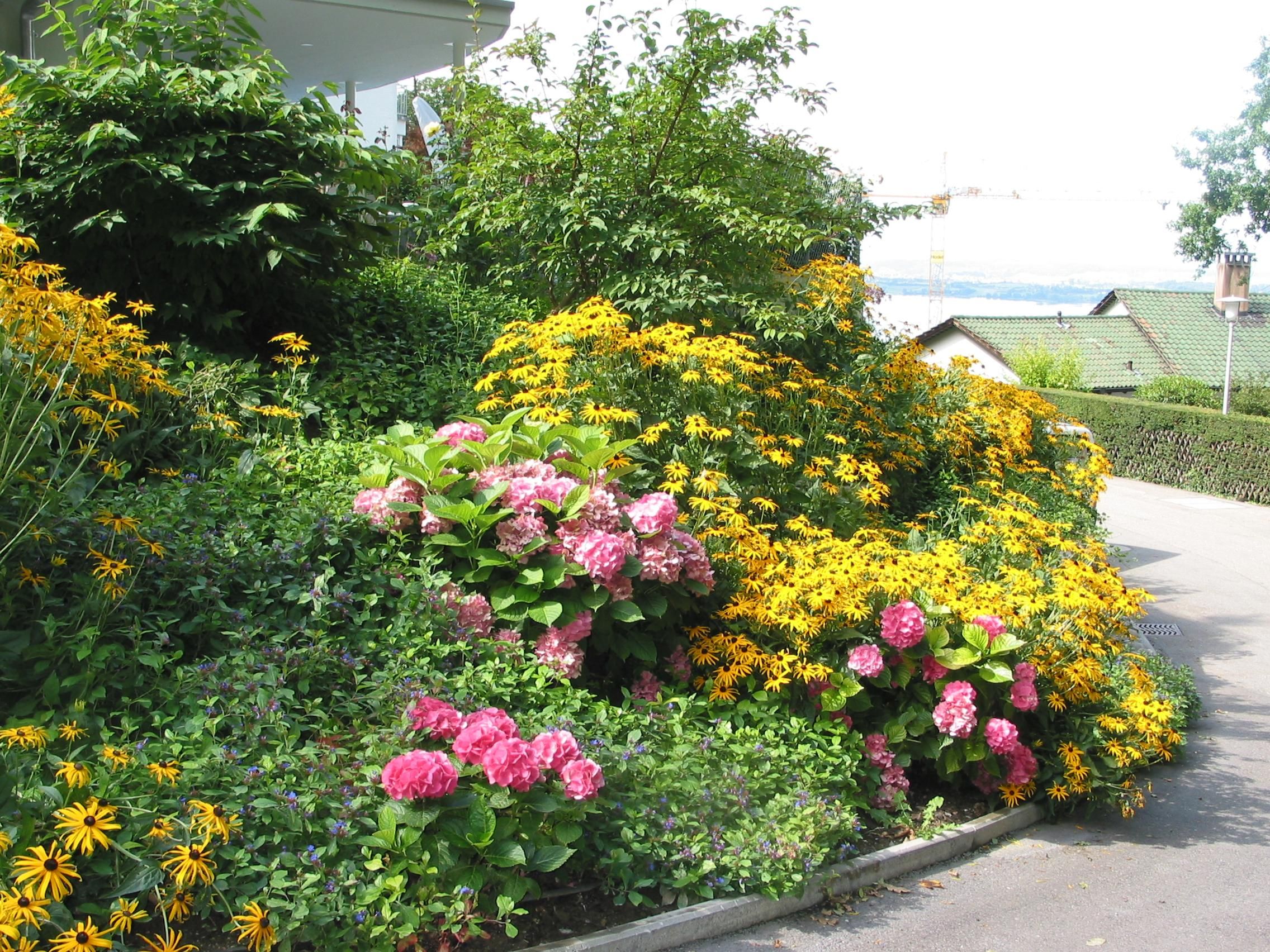 Laederach Gartenbau - Bluetenrabatte - Gartenpflege
